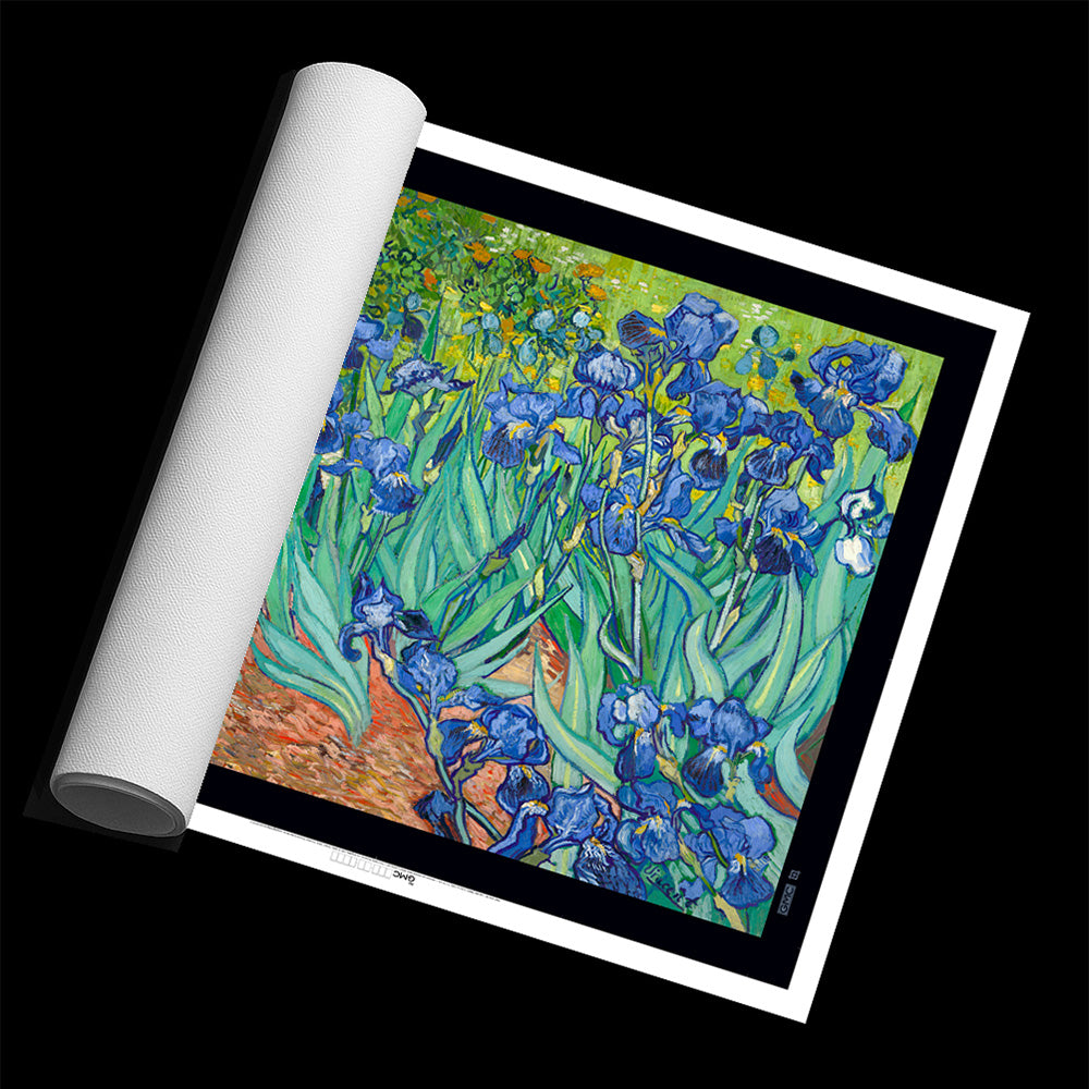 Irises