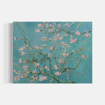 Almond Blossom