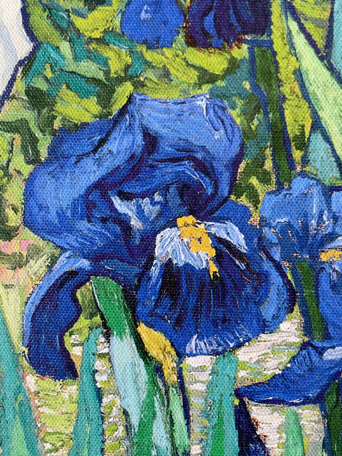 Irises