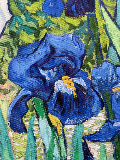 Irises