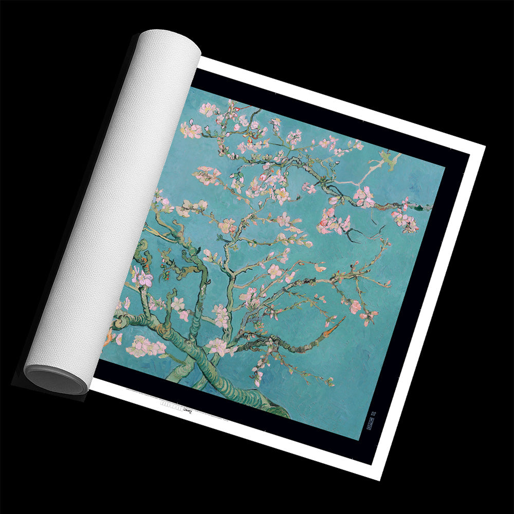 Almond Blossom
