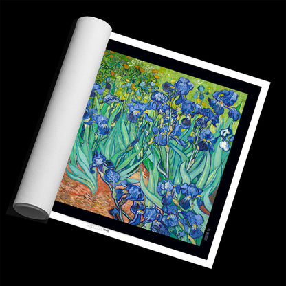 Irises
