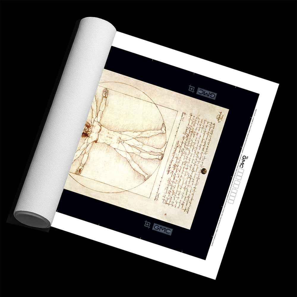 The Vitruvian Man