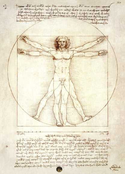 The Vitruvian Man