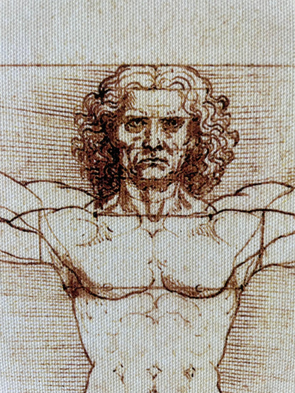 The Vitruvian Man